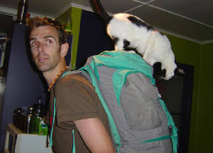 backhome.jpg