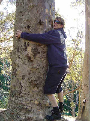 havelock_dj_tree_hugger1.jpg