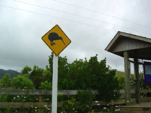 kiwisign.jpg