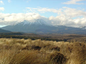 mtruapehu.jpg
