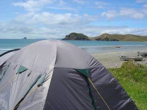 tentportjackson.jpg