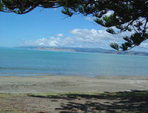 wainuibeach.jpg