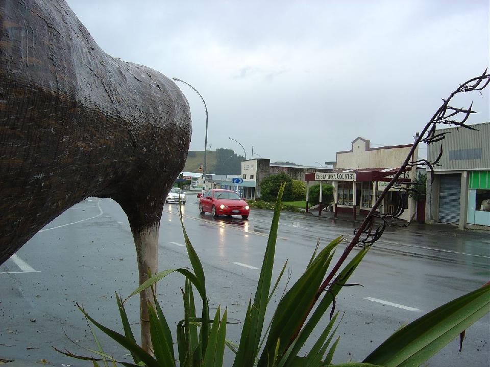 eketahuna_kiwi.jpg