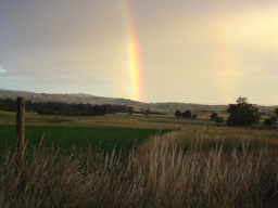hawkesbayrainbow.jpg