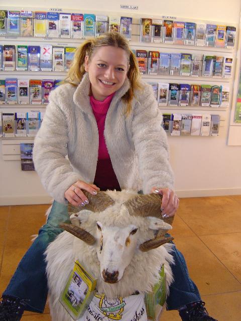 napiersheeptali.jpg