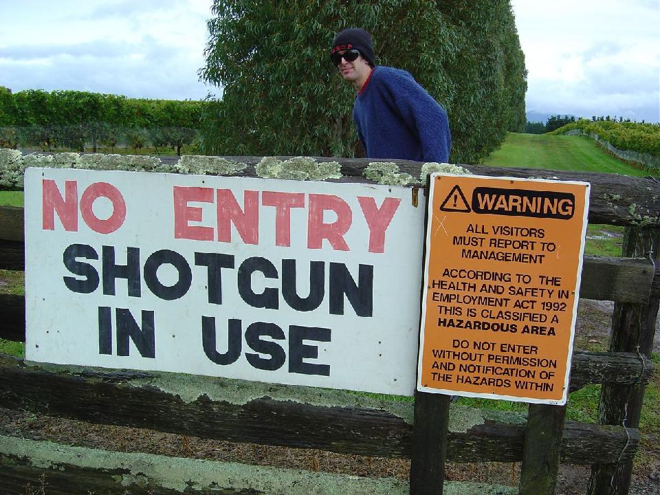 shotgun.jpg