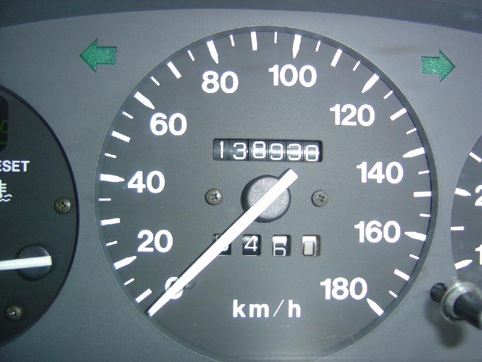 speedo.jpg