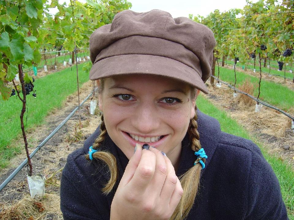 tali_grape.jpg