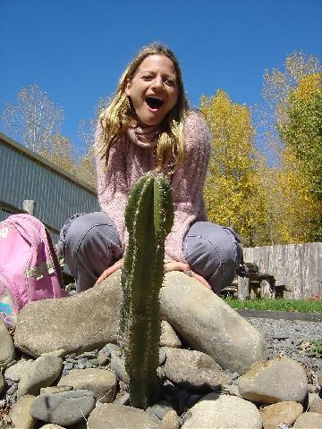 trading_post_t_cactus.jpg