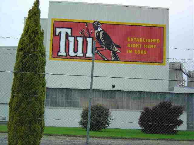 tui1.jpg