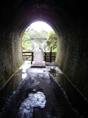 tunnelwalk.jpg
